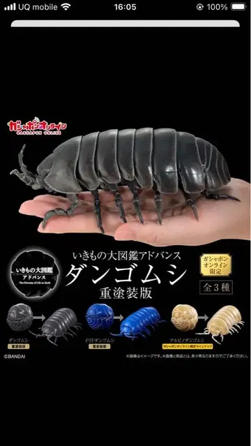 생물대도감 어드밴스 공벌레 중 페인팅 버전 블랙