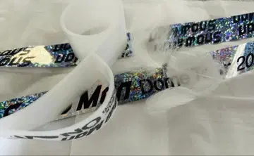 Snow Man Dome Tour 2025 낙하물