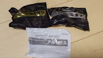 포켓몬스터 하트골드 소울실버 예약 특전 피규어