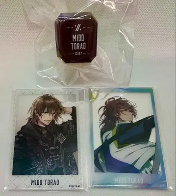 아이나나 린 라이 포토 카드 토라오 10th