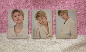 하세가와 신 포토 카드 16 3장 세트