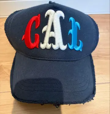 요시노리 코타케 론 헤르만 캡