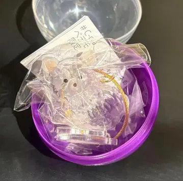 우리 아이 털뭉치 강아지 한정판 모듬 치와와 화이트 가챠가챠 가챠