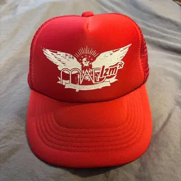 Diggy-MO' 착용 MAD Izm* CAP 캡 SOUL'd OUT