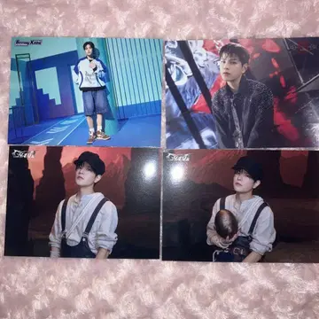 스키즈 승민 랜트 묶음 판매