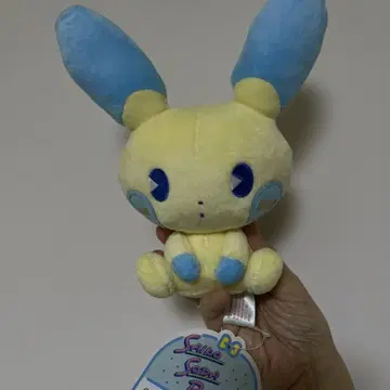 [택 포함 새상품] 포켓몬 봉제 인형 마이농