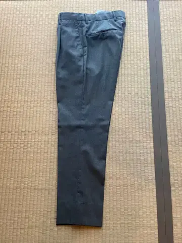 PT TORINO 슬랙스 44 GENTLMAN FIT