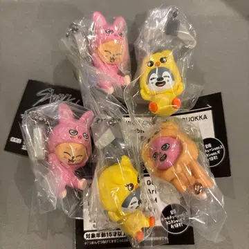 StrayKids 5개 세트