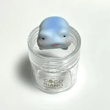 COCORIANG 구리 스카이 블루 스킨 개구리 인형