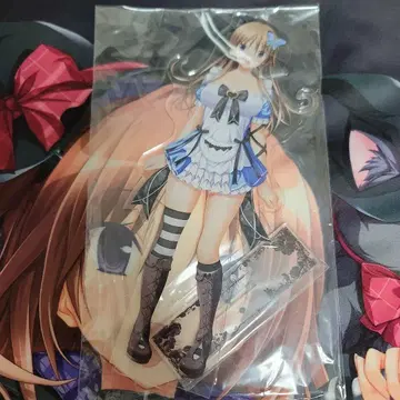 하피메아 아크릴 스탠드 토리우미 아리스