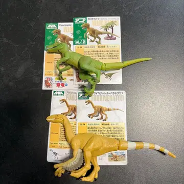 아니아 공룡 벨로키랍토르 푸쿠이베나토르