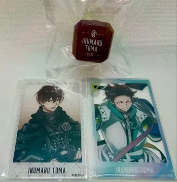 아이나나 린 라이 포토 카드 토마 10th