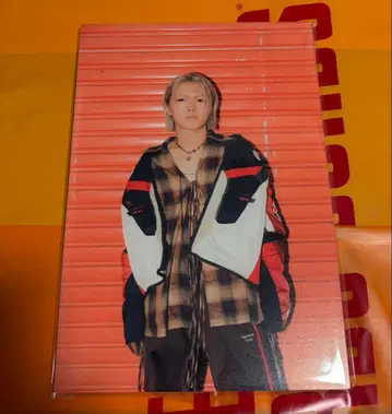 사토 슌노스케 패널