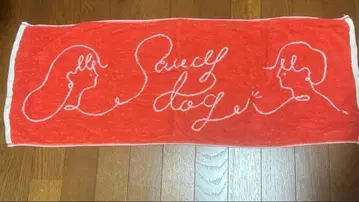 사우시독 투어 타월