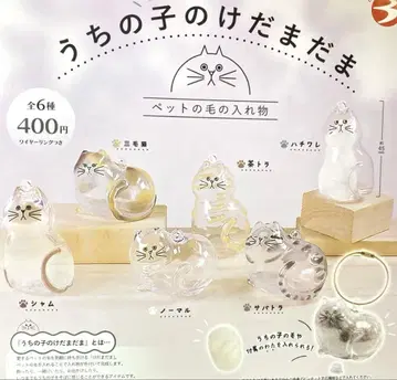 우리 아이 털뭉치 (고양이) 전 6종