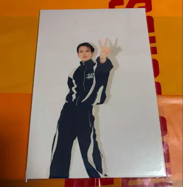 야마모토 코타 패널