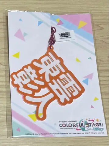 시노노메 아키토 입체 네임 아크릴 키링 프로세카