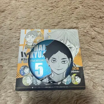 하이큐 아카아시 케이지 팬파크 데코 컬렉션 캔뱃지