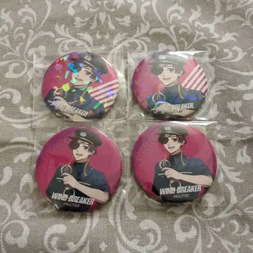 WIND BREAKER 소방준비