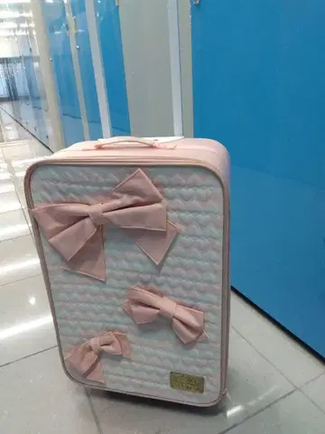 리즈리사의 캐리 백