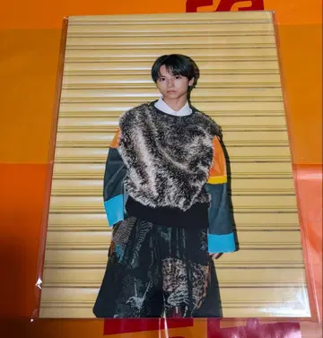 스즈키 루이 패널