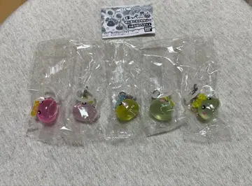 홋페짱 메지루시 액세서리 미사용 새상품 5개 세트 A.C.D x 2.F