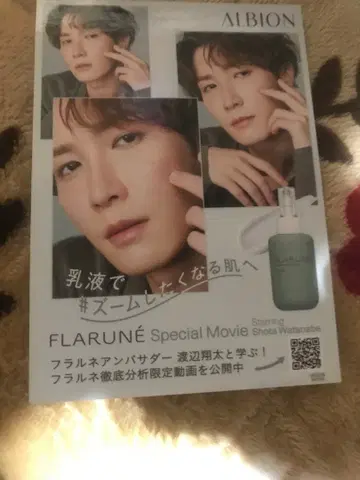 알비온 프랄네 판촉용 와타나베 쇼타 씨