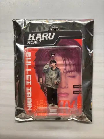 초특급 하루 REAL? 블리스터 키링