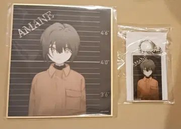 MILGRAM 아야네 제비뽑기당