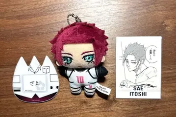 블루 록 이토시 사에 유치원 배지 봉제 인형 파샤코레