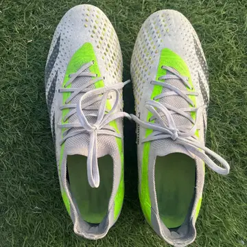 축구화 스파이크 프레데터