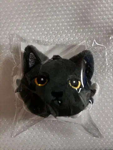 유 JELLY-YU NEXZOO 백참 POPUP 2025