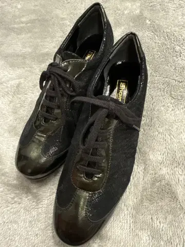 샤미오르 23.5cm 일본제