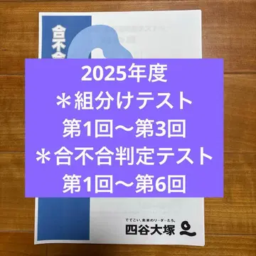 2025학년도 6학년 합불합 판정 테스트 조 편성 테스트, 1년분