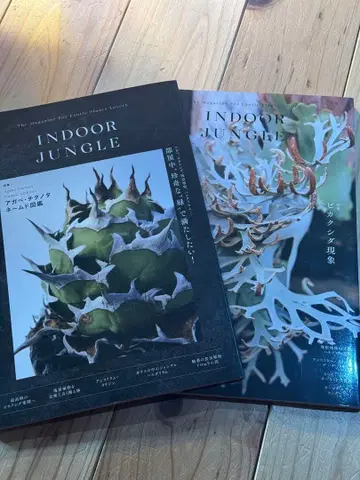 실내 정글 No.01, No.02