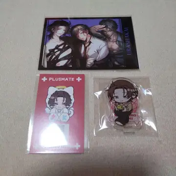 플러스메이트 사토미 쿄이치로 묶음 판매