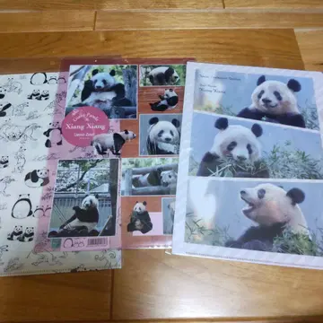 조수기화 팬더 샹샹 클리어 파일 3개
