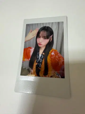 진세이 스즈카 폴라로이드