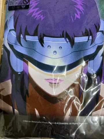 GEEKS RULE x Infinite Archives x 공각기동대