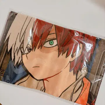 나의 히어로 아카데미아