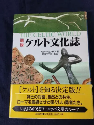 도설 켈트 문화지 발리 칸리프 저 406p 1998년 원서방 3800엔
