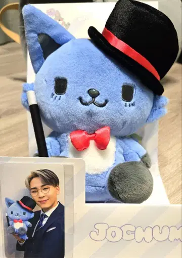 JOCHUM 레인 봉제 인형 카와시리 렌 트레이딩 카드 포함