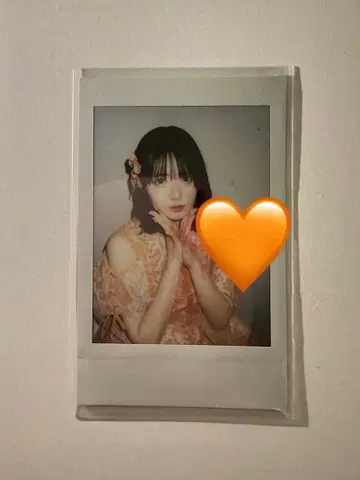 진세이 스즈카 폴라로이드