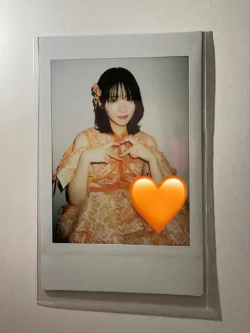 진세이 스즈카 폴라로이드