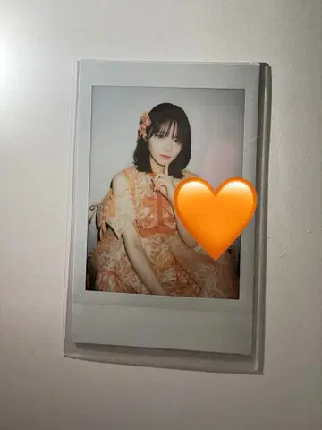 진제이 스즈카 폴라로이드