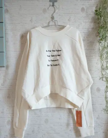 REDYAZEL 메시지 로고 크롭 기장 숏 맨투맨