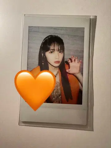 진세이 스즈카 폴라로이드