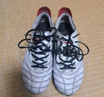 모렐리아 네오 3 25.5