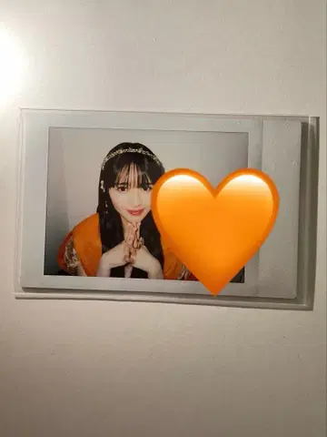 진제 스즈카 폴라로이드