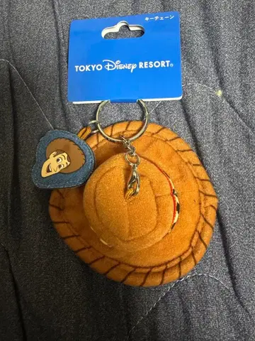 도쿄 디즈니 리조트 우디 키링